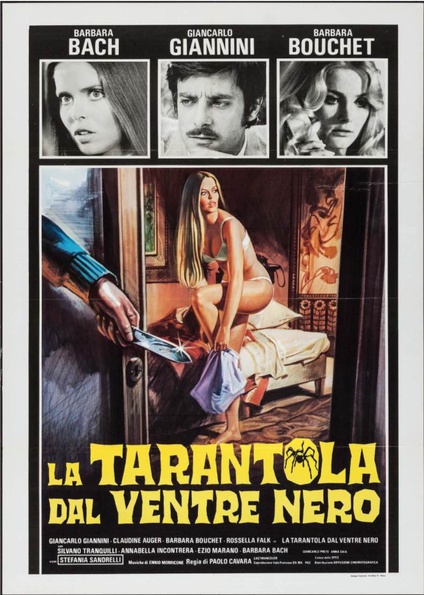 Black_Belly_Tarantula_1