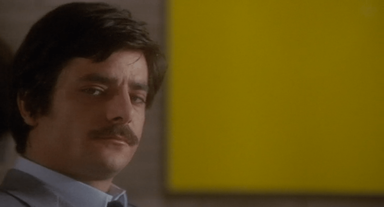 Black_Belly_Tarantula_4