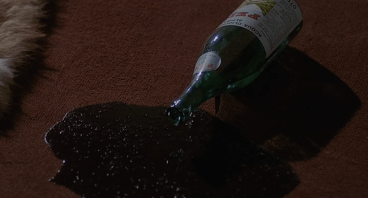 Black_Belly_Tarantula_9