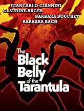 Black_Belly_Tarantula_rent