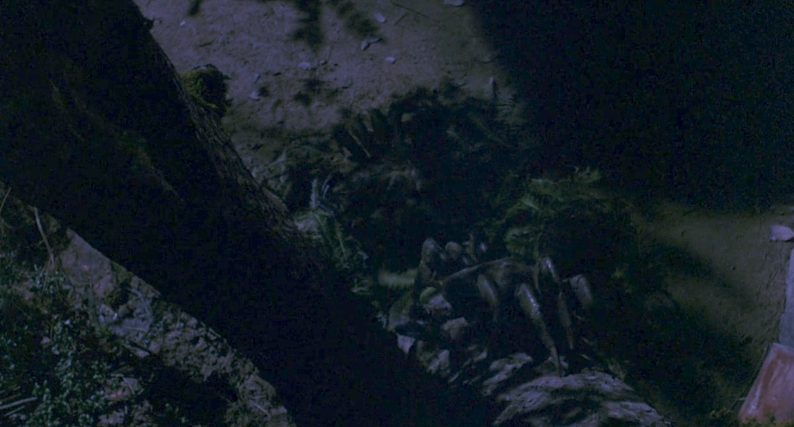 The_House_Where_Evil_Dwells_7