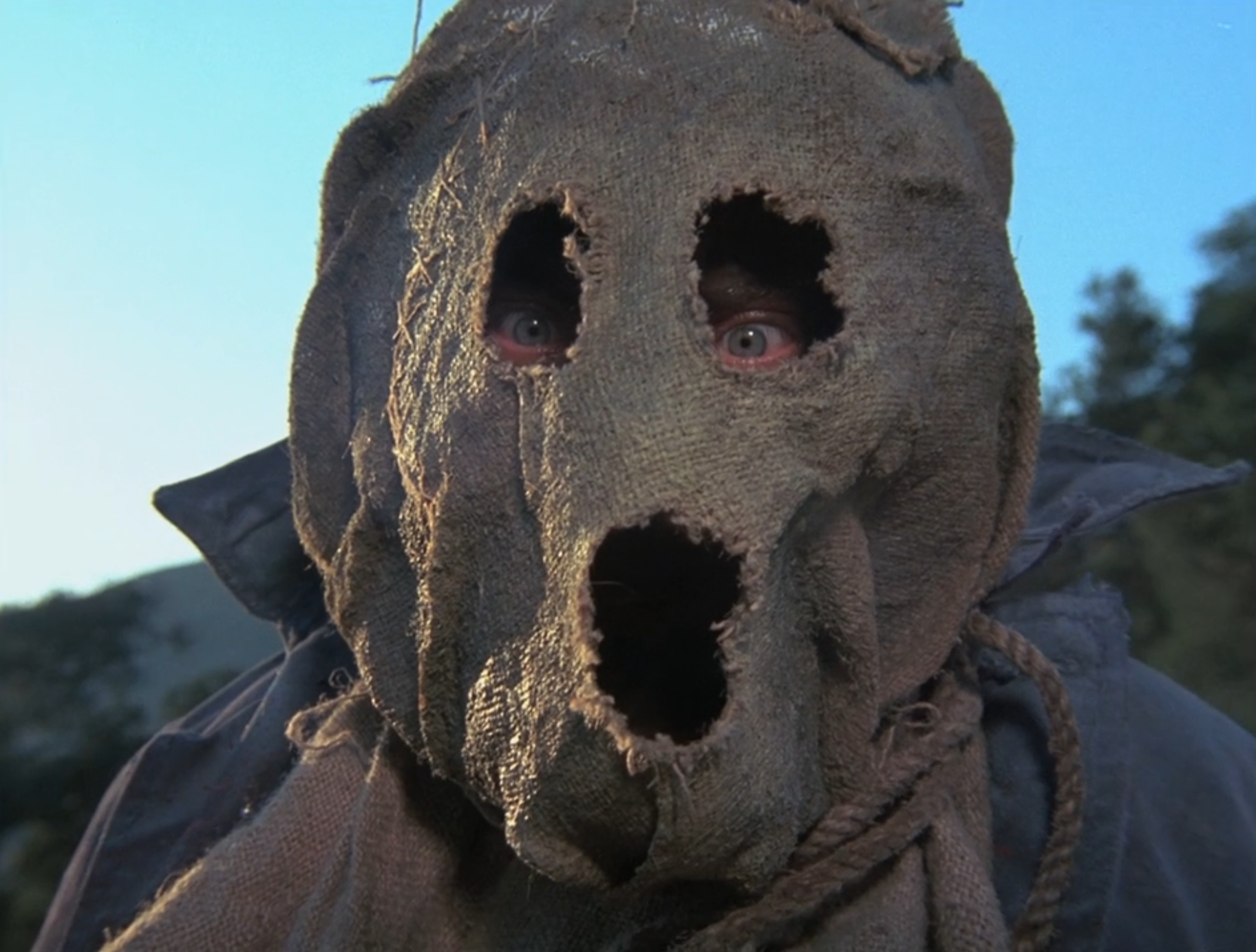 Dark_Night_of_the_Scarecrow_3