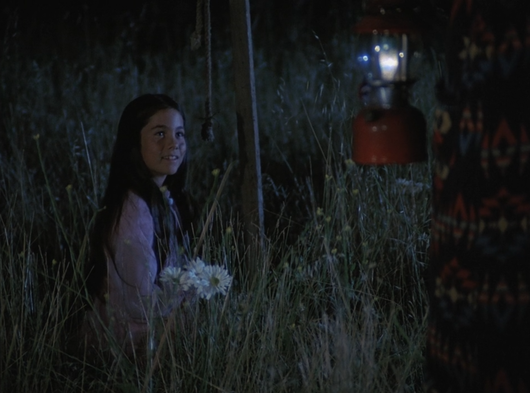 Dark_Night_of_the_Scarecrow_4