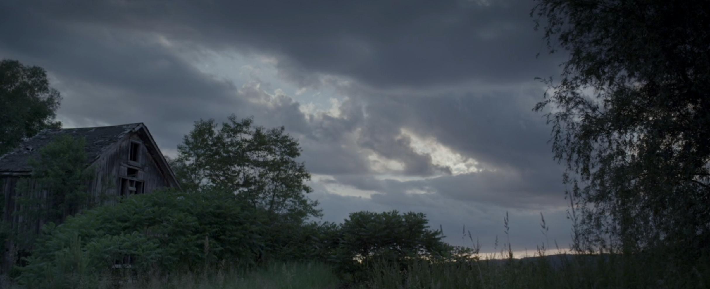 We_Are_What_We_Are_7