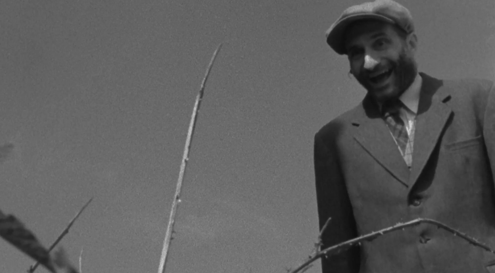 Piercing_Stillness_5