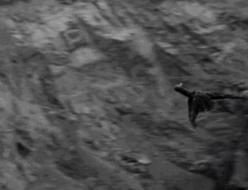 The_Flying_Serpent_5