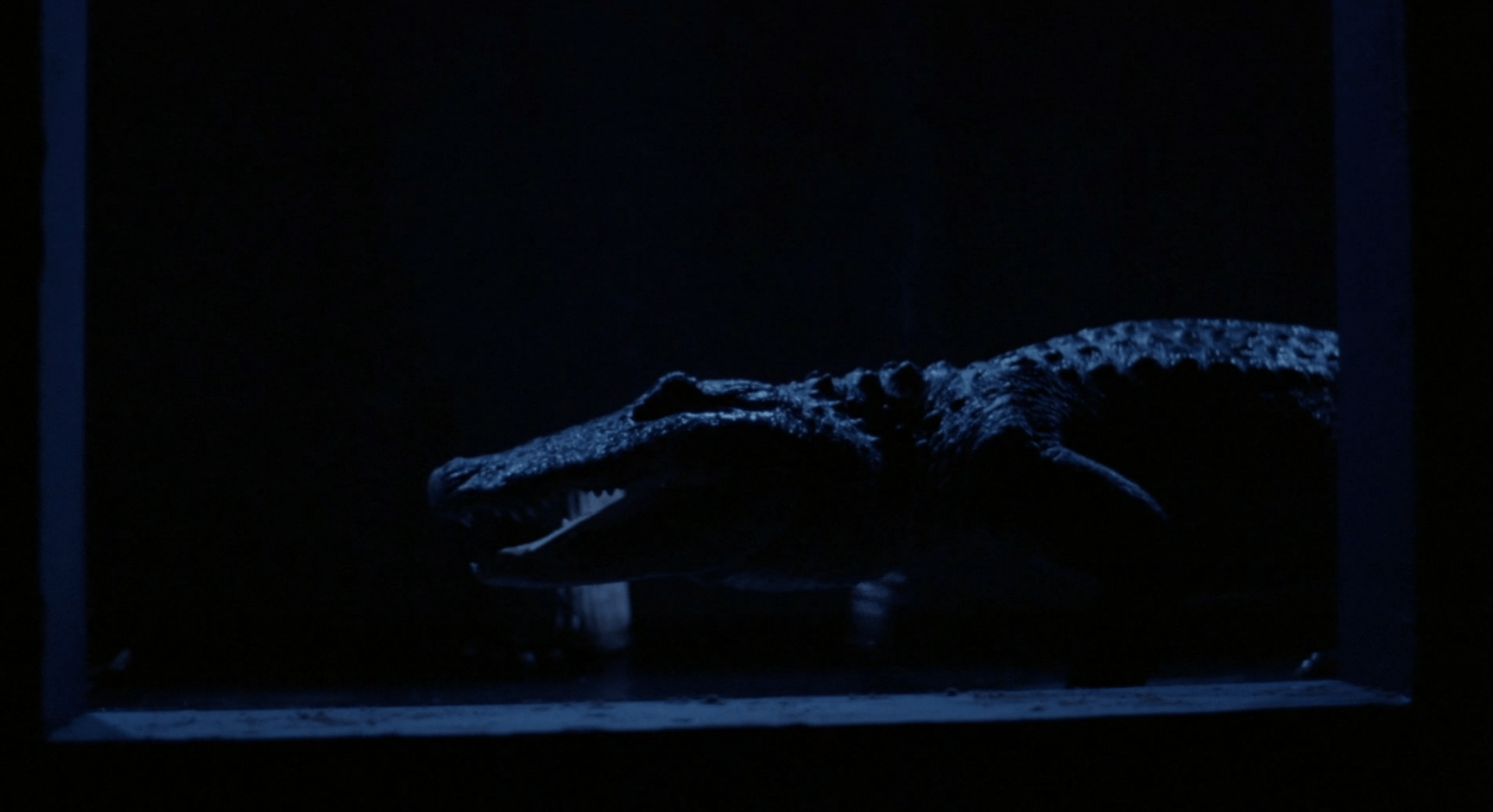 Alligator_II_The_Mutation_11
