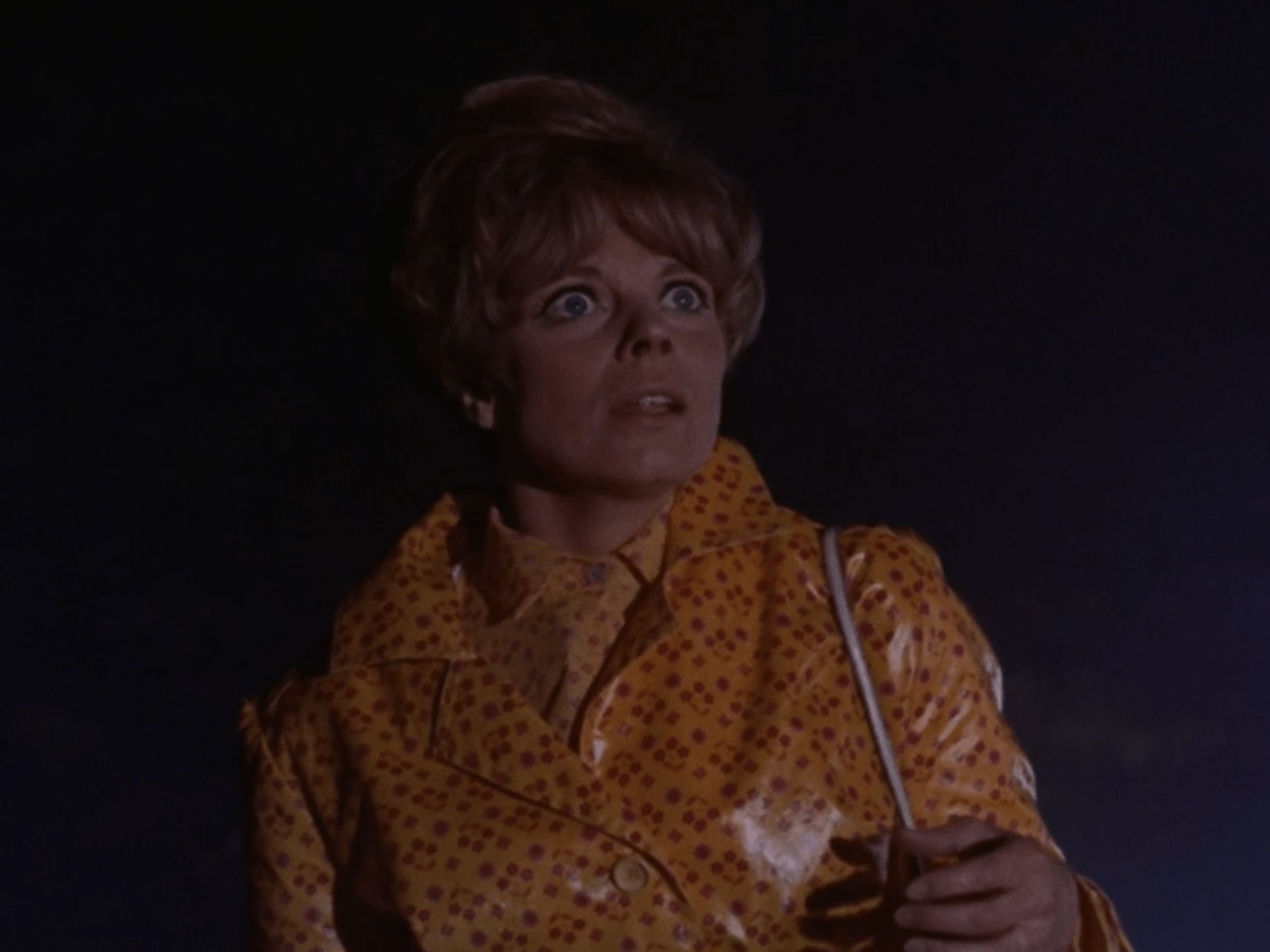 The_College_Girl_Murders_4