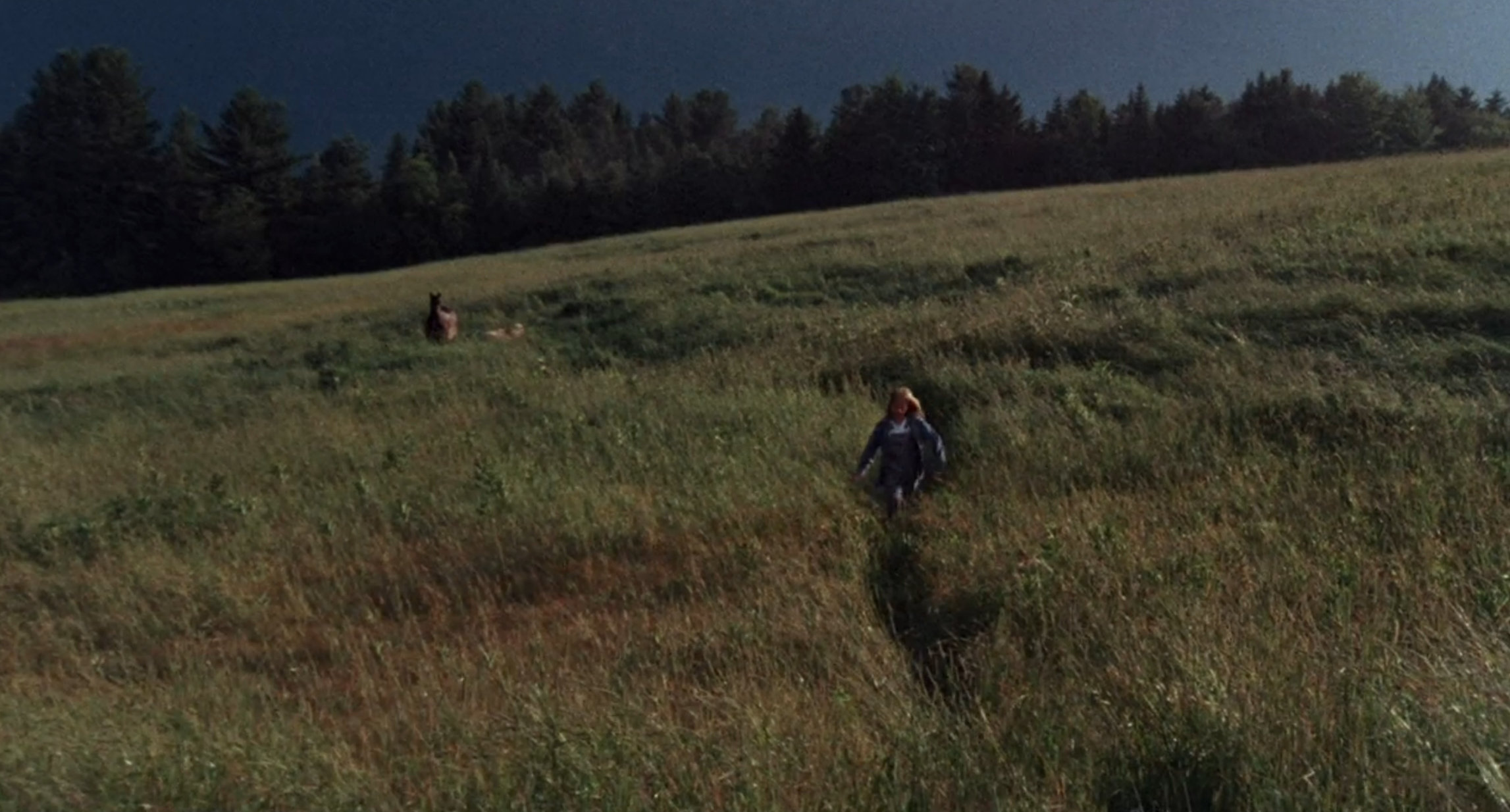 The little girl right before her demise