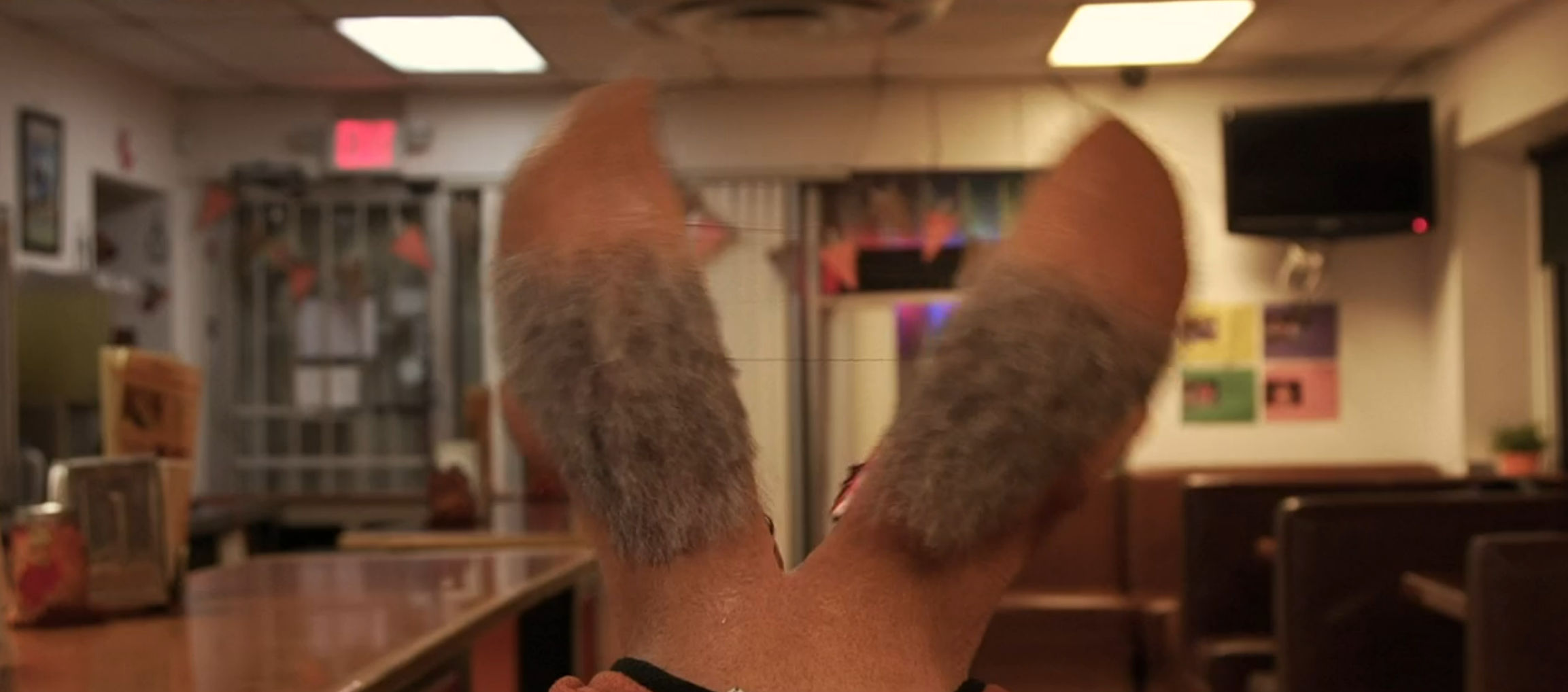 A skull being split in half