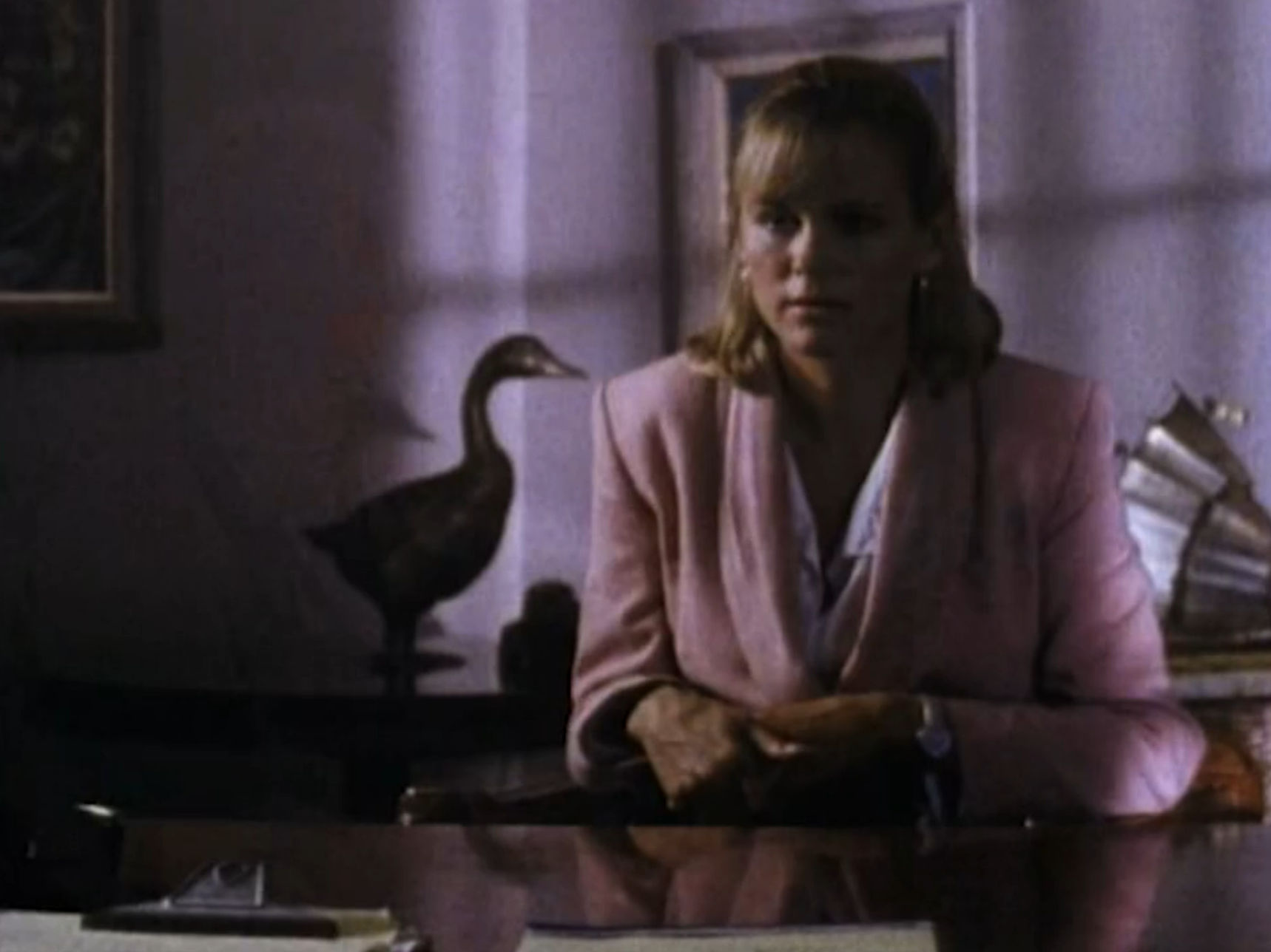 I guess Will has a thing for duck decor?