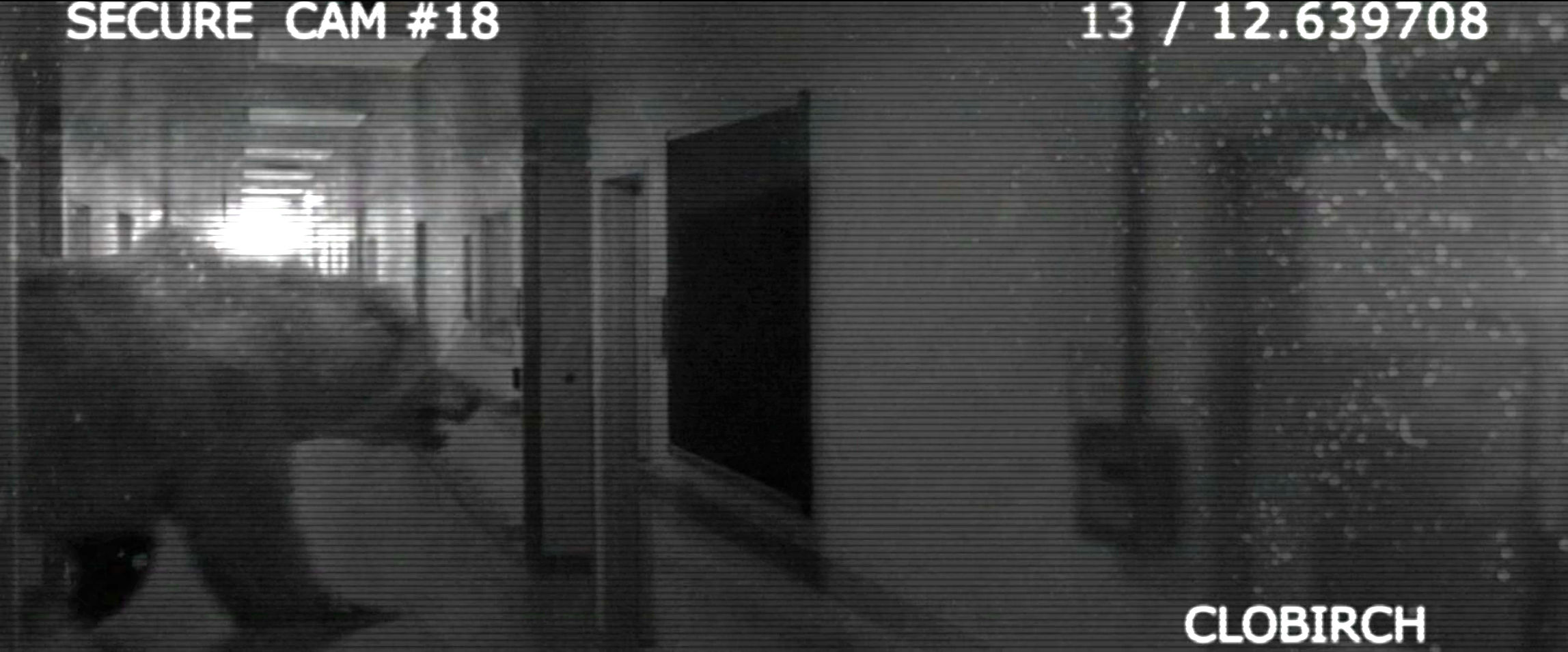 An obvious polar bear on the security camera