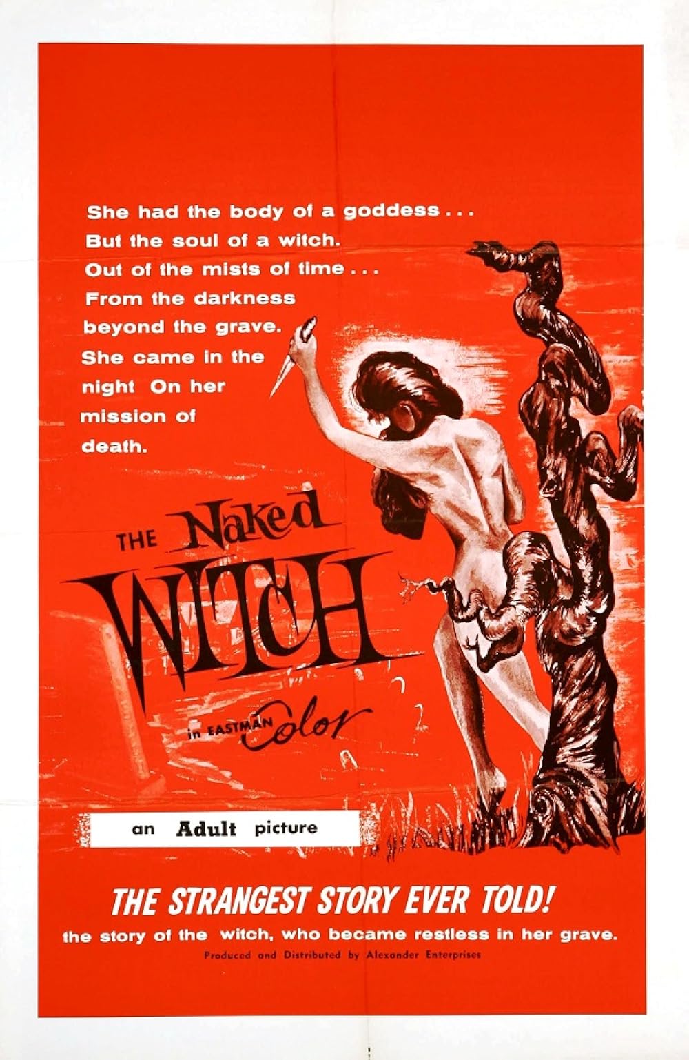 The Naked Witch Poster