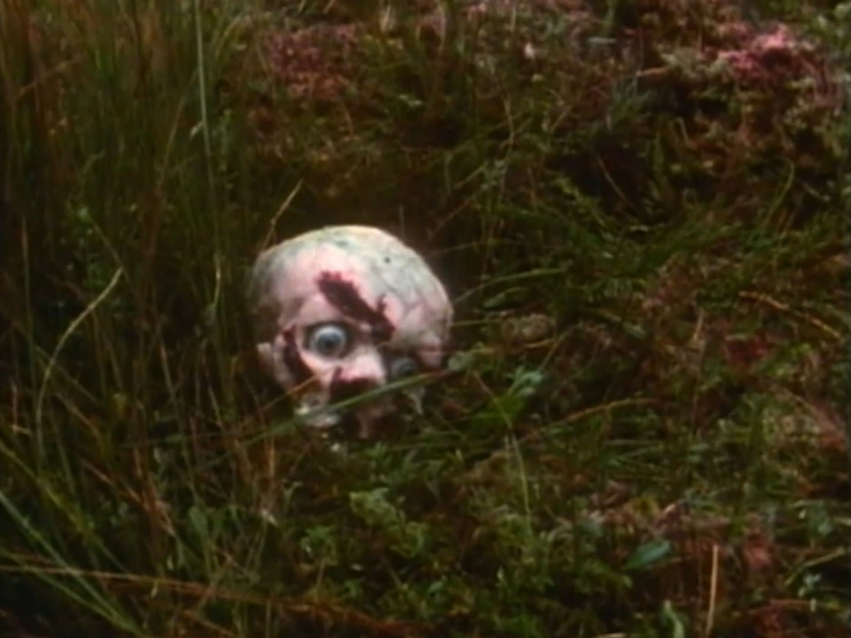 A skull in the swamp with intact eyeballs