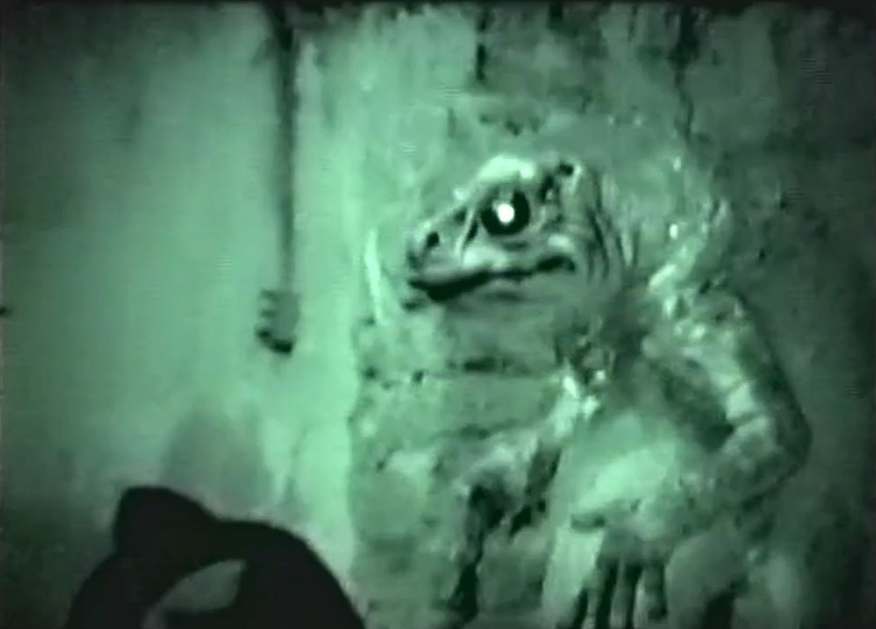 Frogman in all his glory