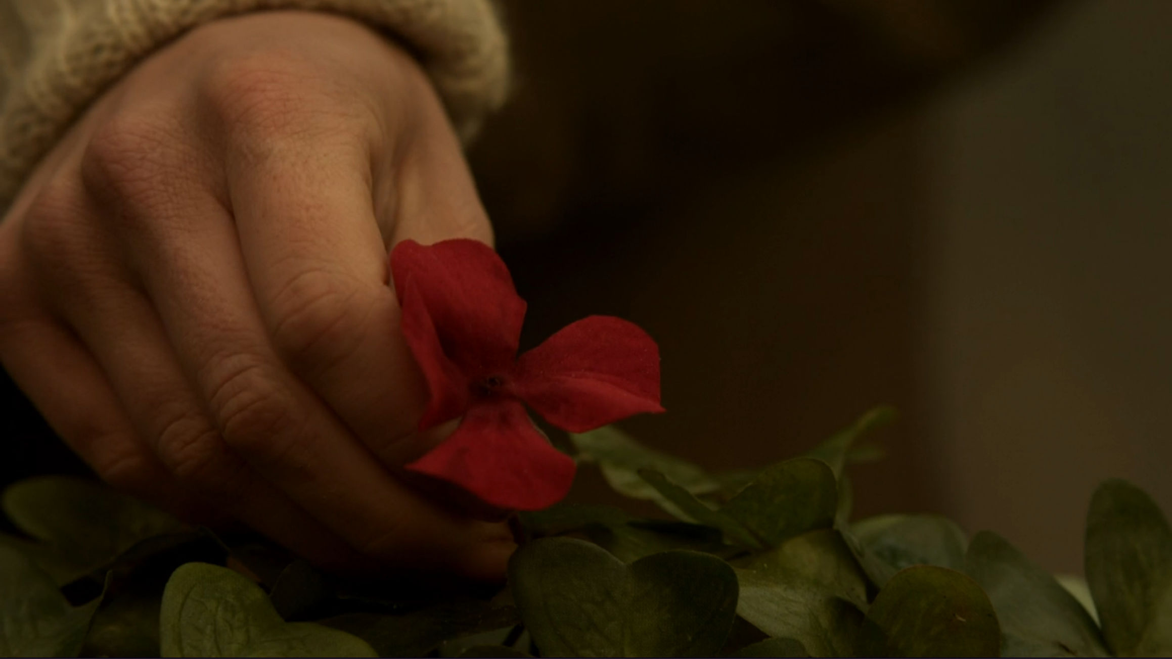 Karen picking up the red clover
