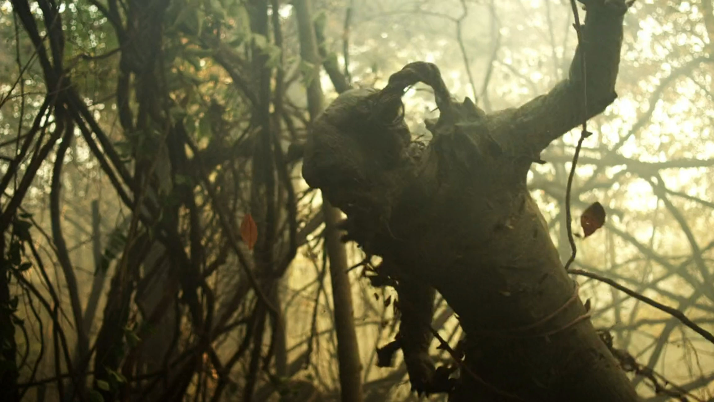 The leprechaun waking up