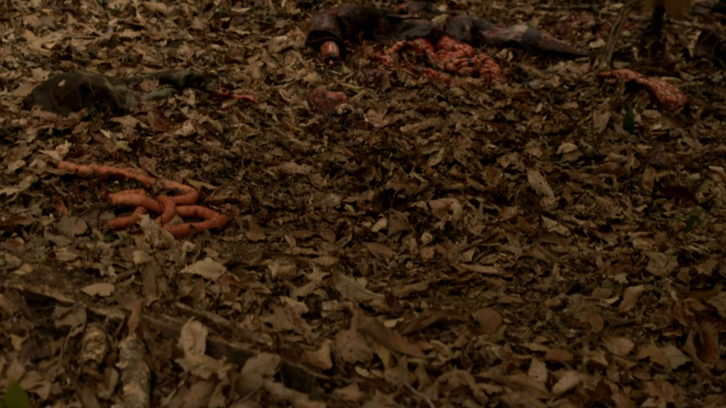 The leprechaun got hungry I guess