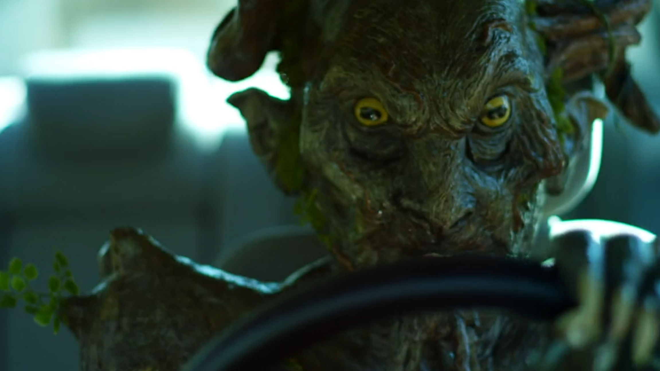 Somewhere along the way the leprechaun learned to drive a car