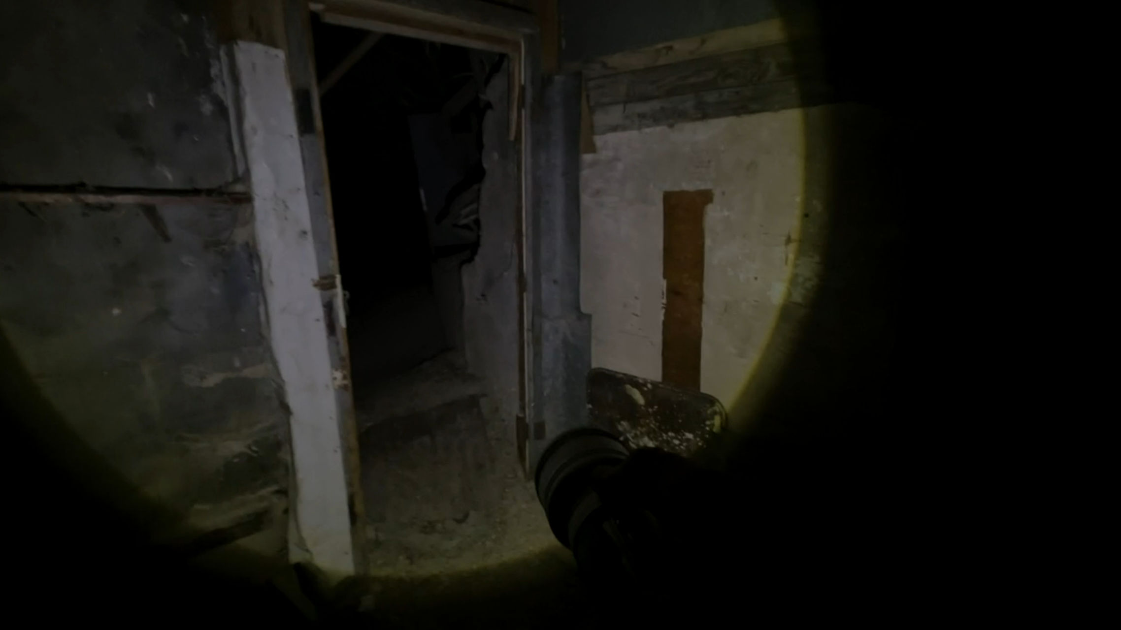 Not just shaky-cam footage, but first person shooter shaky-cam footage