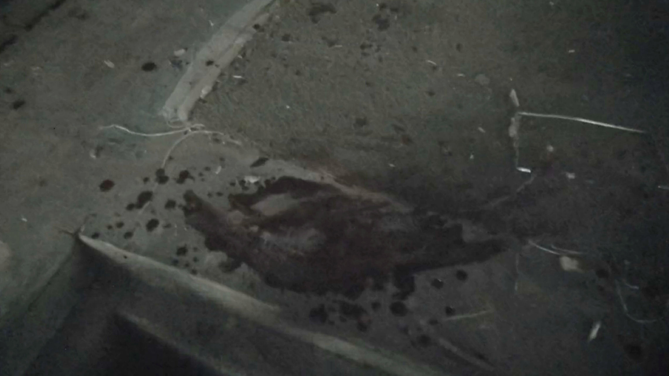 A Bigfoot blood stain