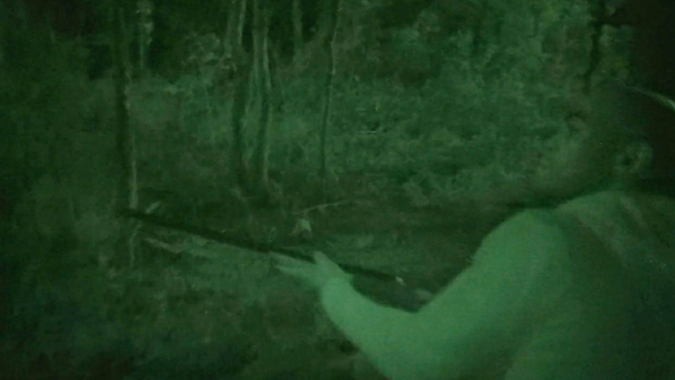 Todd shooting blindly into the darkness