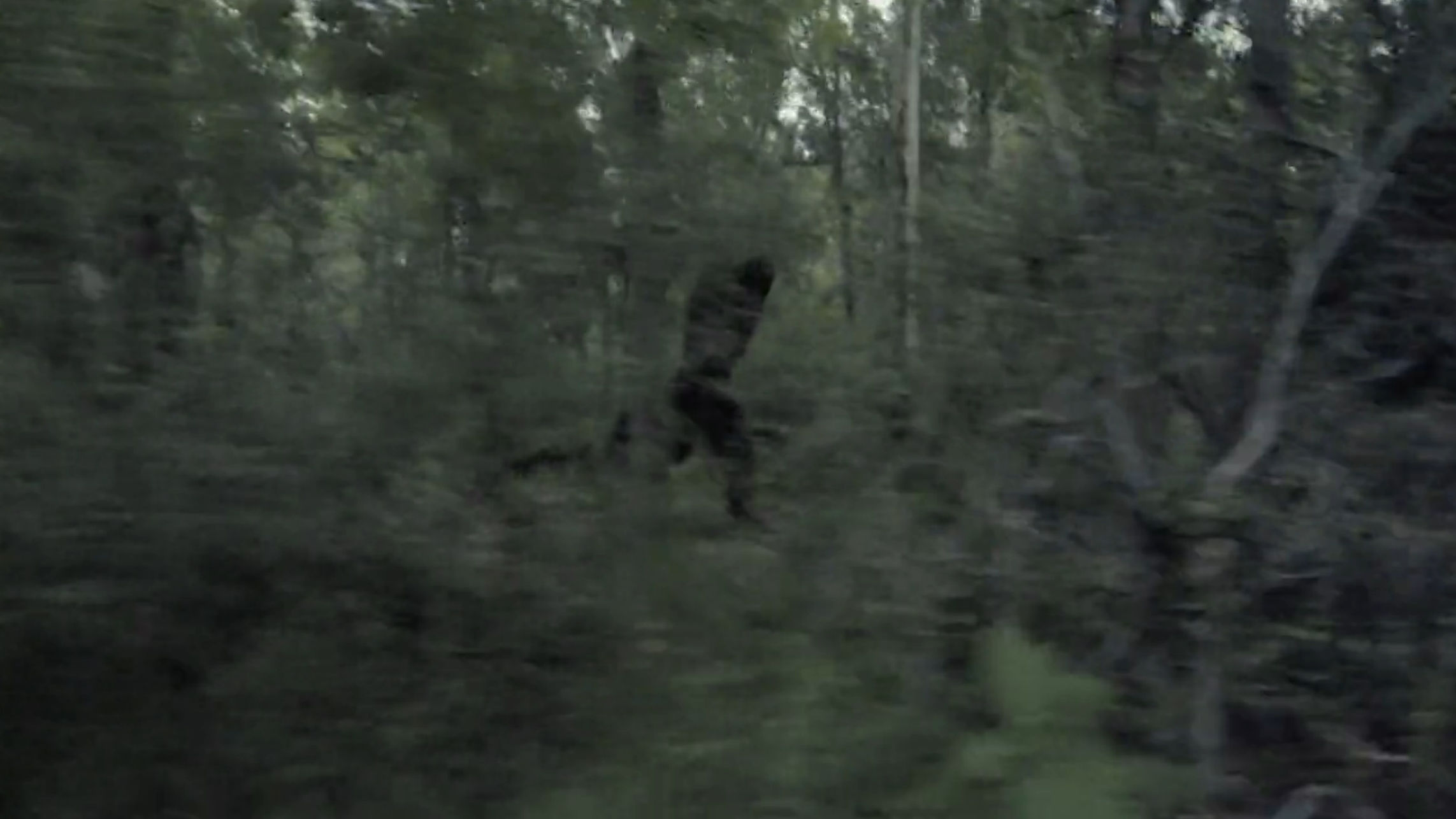 Bigfoot joggin' through the woods