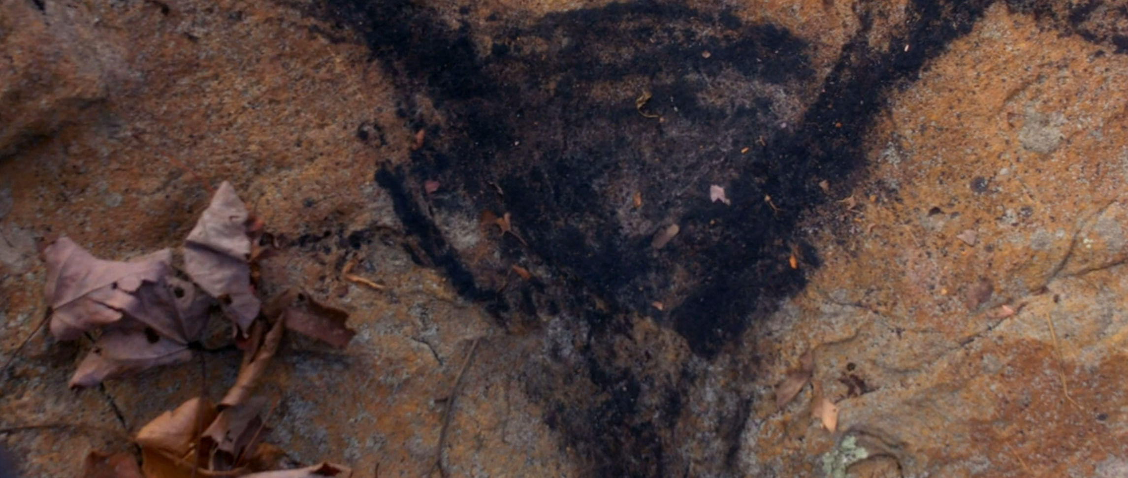 The Wendigo smudge