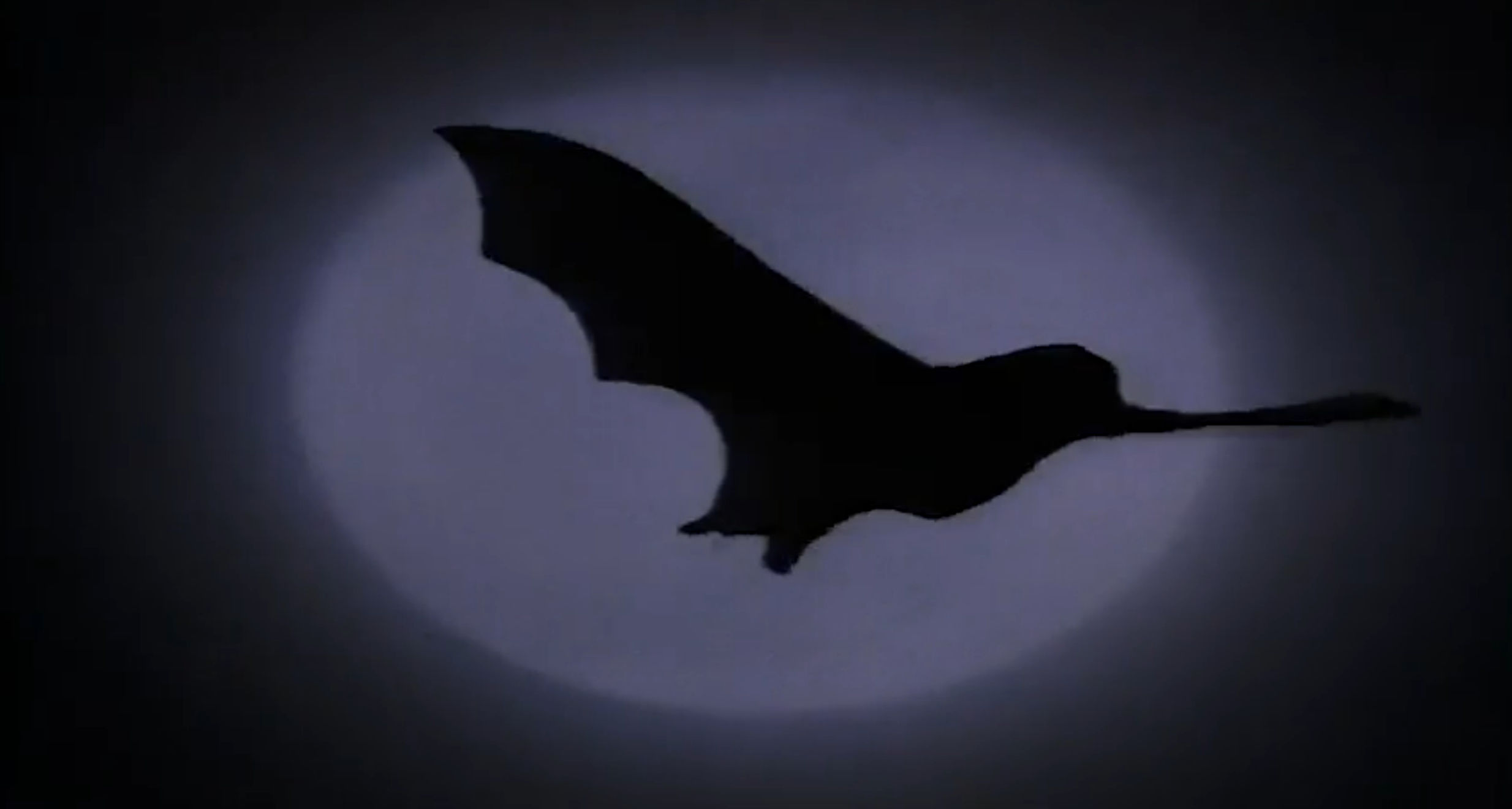 A bat flying over the moon
