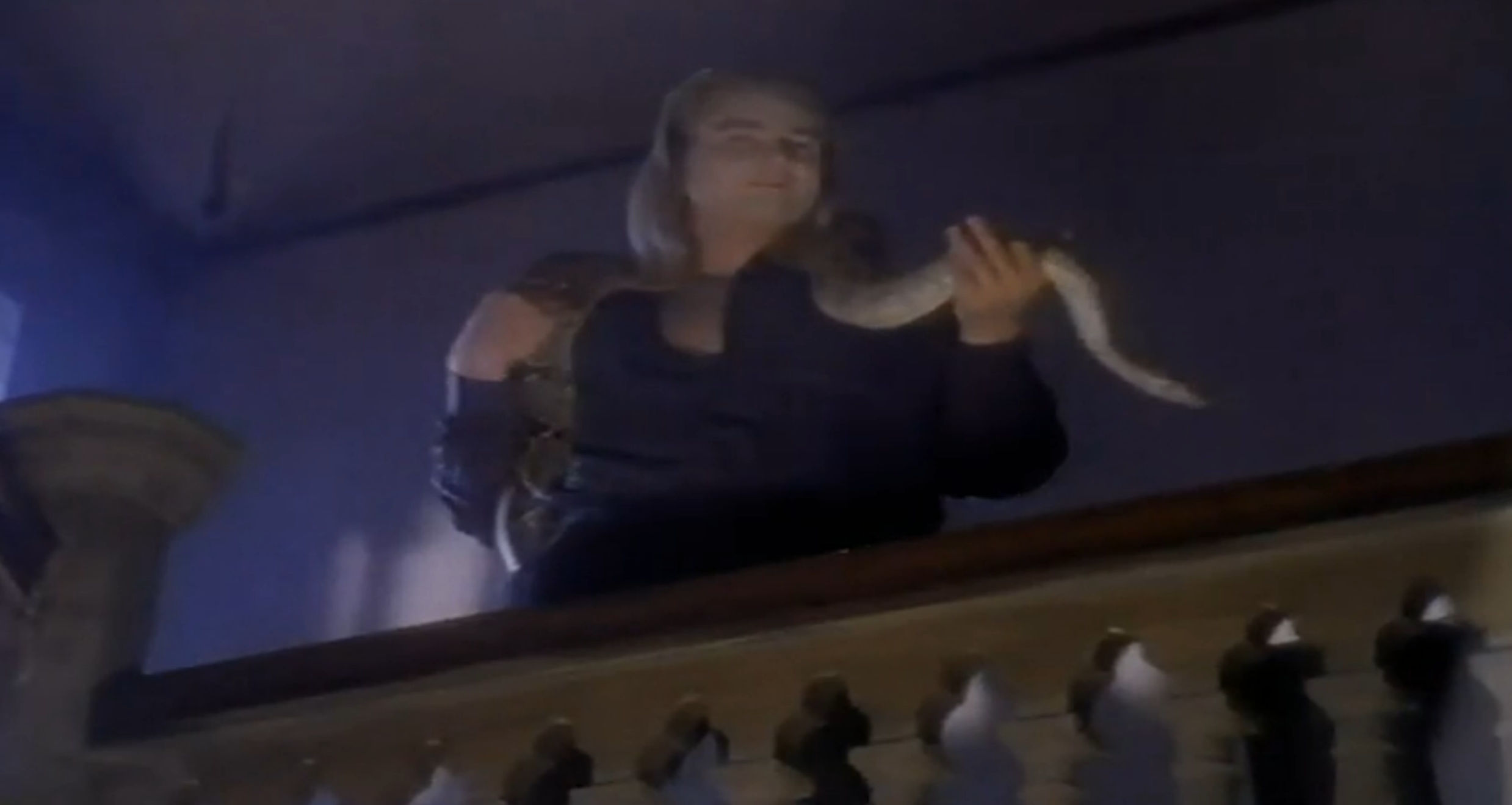 Hassa and his snake