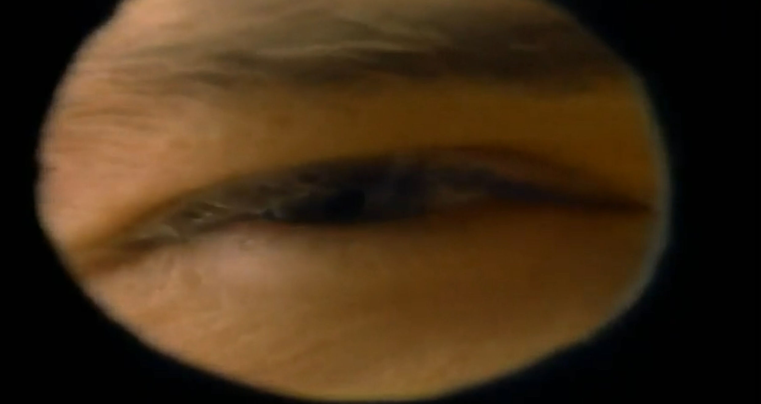 Garner looking through a telescope