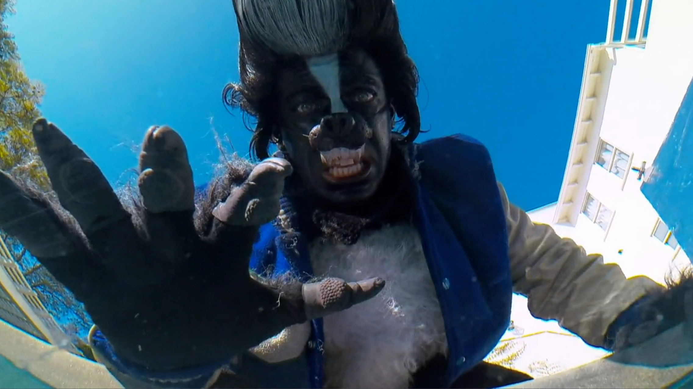 Close up of the Wereskunk